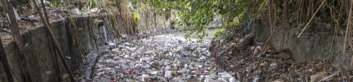 Krise? Welche Krise?