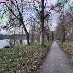 Tag 23.913  | 08.01.2026  | diary &&nbsp;Fotos